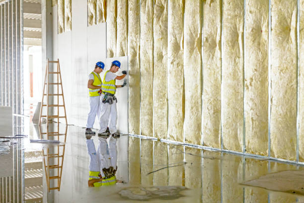 Best Eco-Friendly Insulation in Washington, NJ